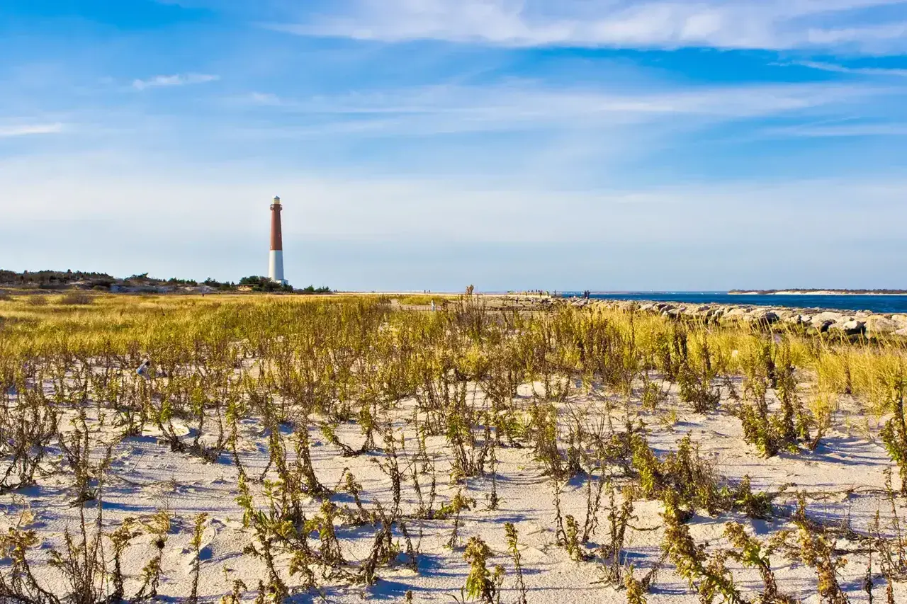 Barnegat Lighthouse State Park