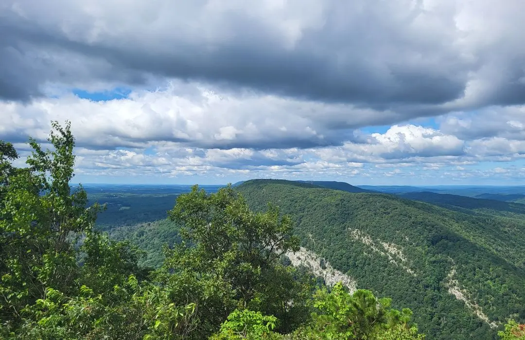 Nature, Hiking & Birding